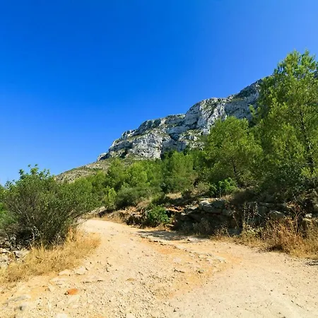 Marina Vyb Denia